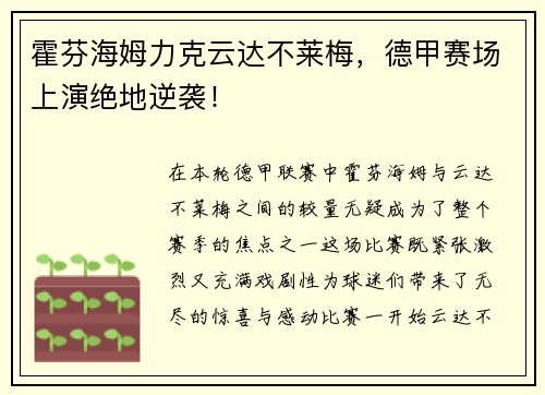 霍芬海姆力克云达不莱梅，德甲赛场上演绝地逆袭！
